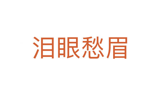 泪眼愁眉