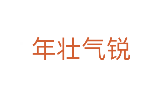 年壮气锐