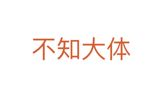 不知大体