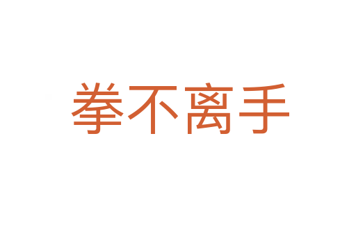拳不离手