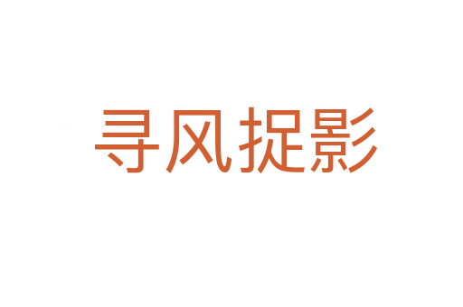 寻风捉影