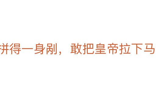 拼得一身剐,敢把皇帝拉下马