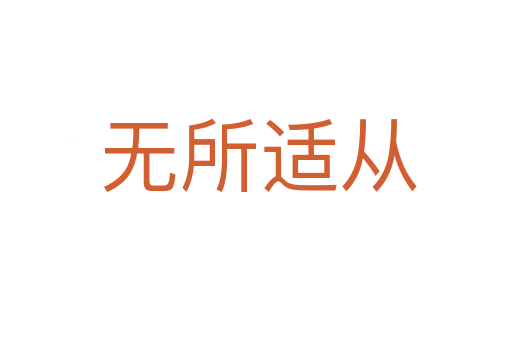 无所适从