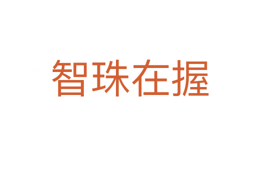智珠在握