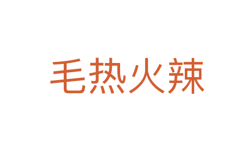 毛热火辣