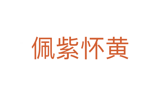 佩紫怀黄