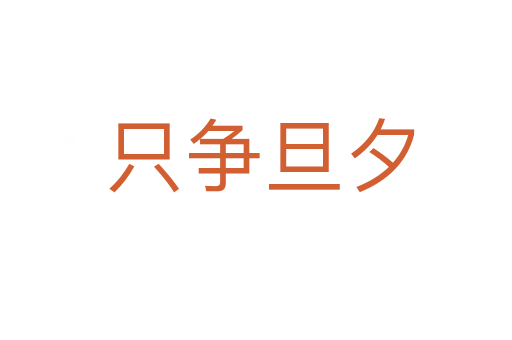 只争旦夕