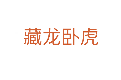 藏龙卧虎