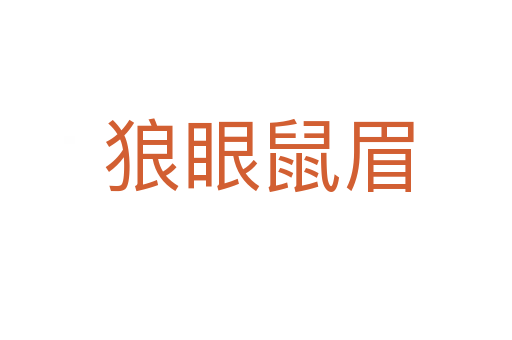 狼眼鼠眉