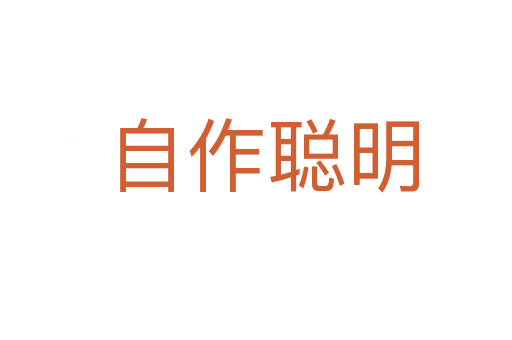自作聪明