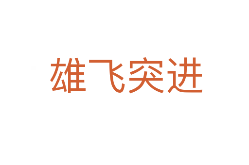 雄飞突进