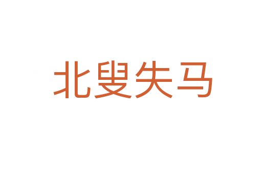 北叟失马