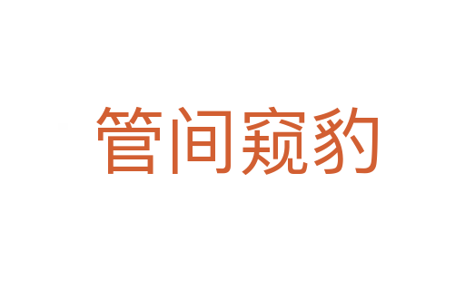 管间窥豹