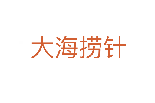 大海捞针