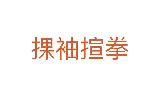 捰袖揎拳