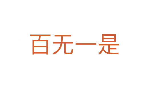 百无一是