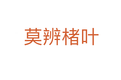 莫辨楮叶