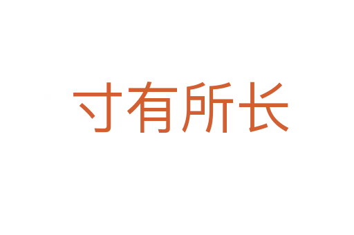 寸有所长