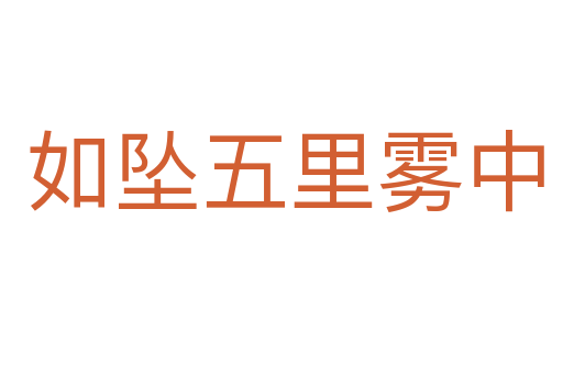 如坠五里雾中