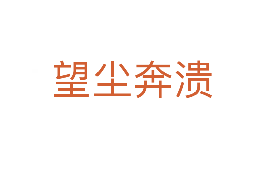望尘奔溃
