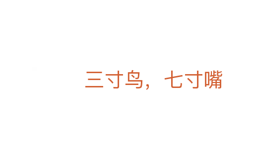 三寸鸟,七寸嘴