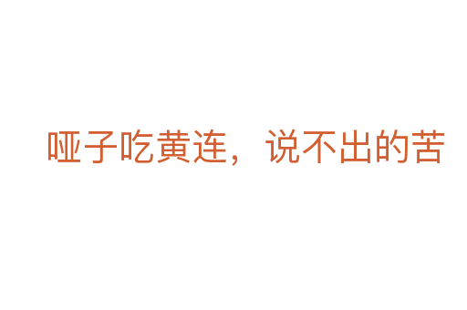 哑子吃黄连,说不出的苦
