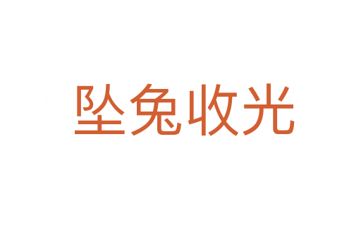 坠兔收光