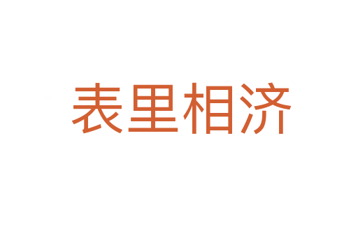 表里相济