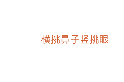 横挑鼻子竖挑眼