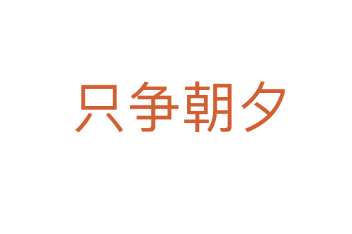 只争朝夕