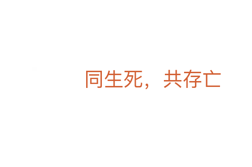 同生死，共存亡