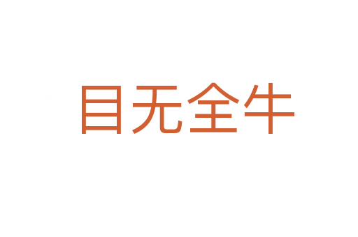 目无全牛