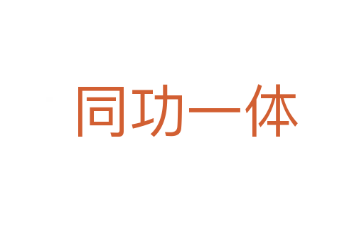 同功一体