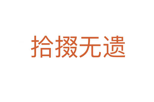 拾掇无遗