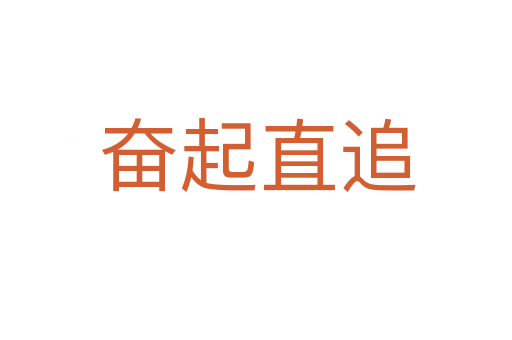 奋起直追