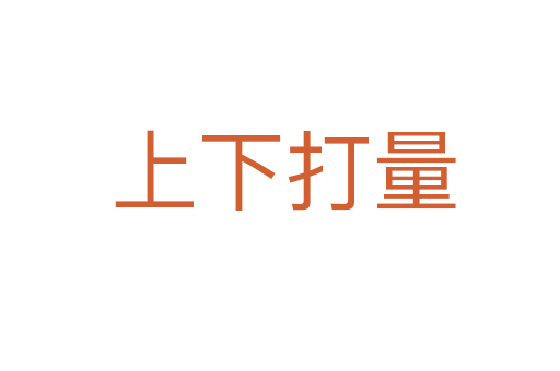 上下打量
