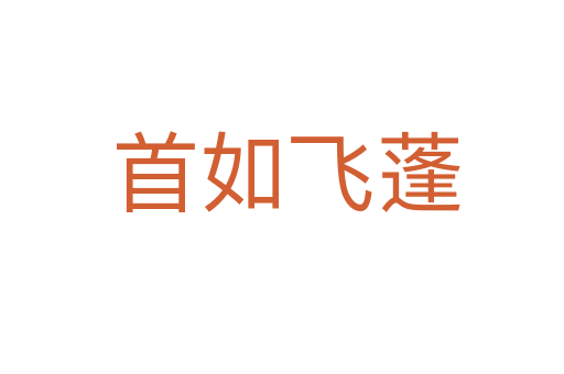 首如飞蓬