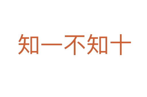 知一不知十