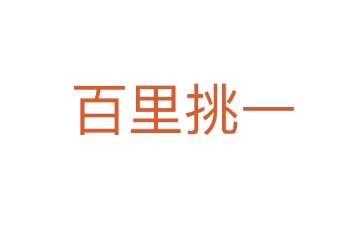 百里挑一
