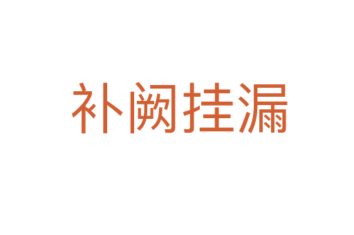 补阙挂漏