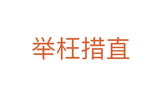 举枉措直