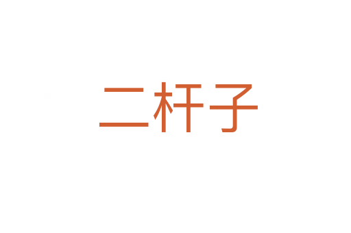 二杆子