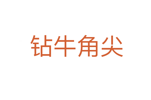 钻牛角尖
