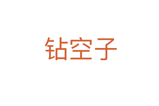 钻空子