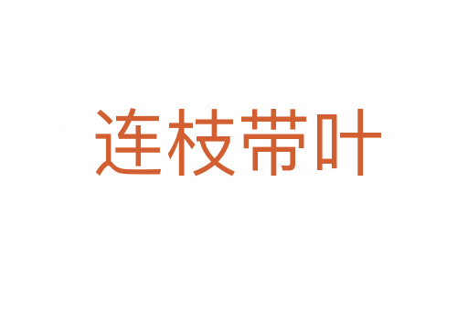 连枝带叶