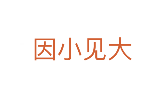 因小见大