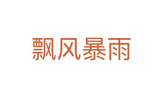 飘风暴雨