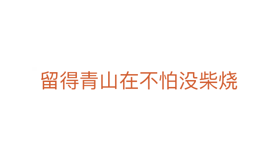 留得青山在不怕没柴烧