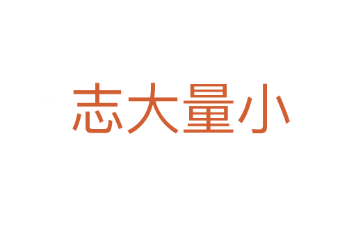 志大量小