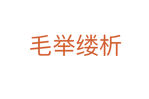 毛举缕析